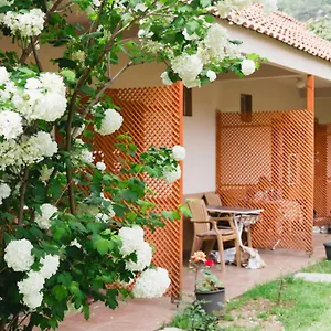 Homestay Village Garden 